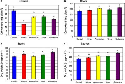 Effects of Different Chemical Forms of Nitrogen on the Quick and Reversible Inhibition of Soybean Nodule Growth and Nitrogen Fixation Activity